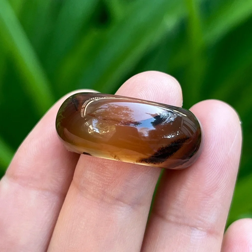 Size‎ 7.5 Natural Translucent Dendritic Scenery Agate Band Ring 0032